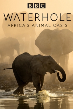 Waterhole: Africa