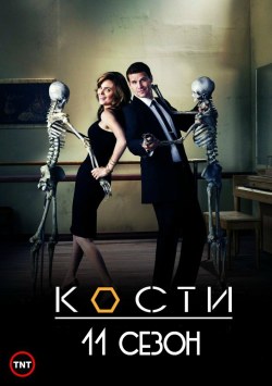 Кости